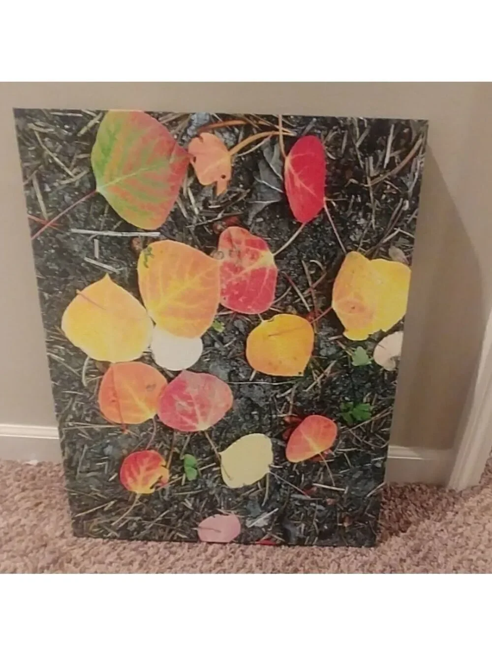 NWOT Aspen Autumn Leaves canvas 16x20